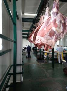 Компания експортер Производитель Украинской говядины и баранины